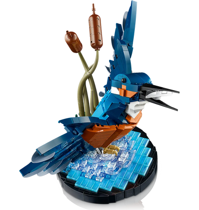 LEGO 10331 ICONS KINGFISHER BIRD - Toyworld Frankston
