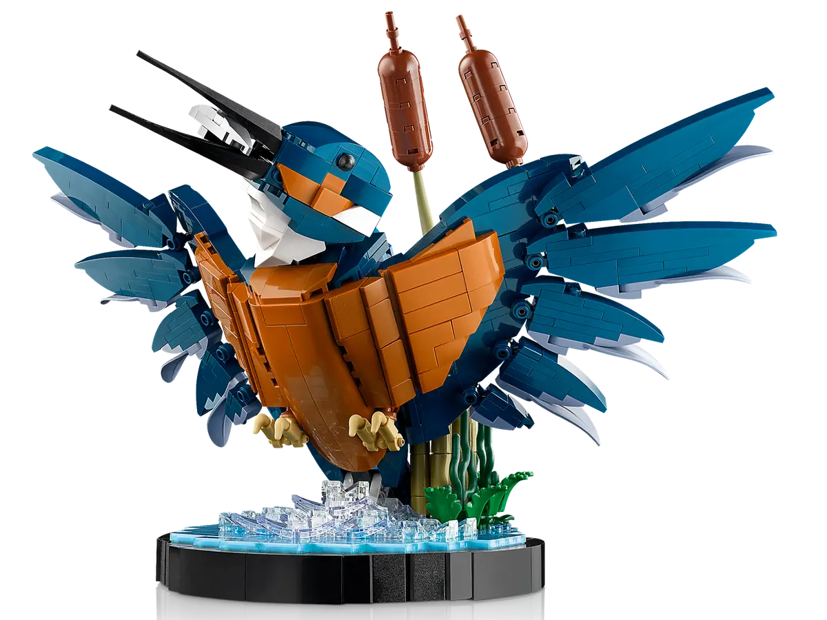 LEGO 10331 ICONS KINGFISHER BIRD - Toyworld Frankston