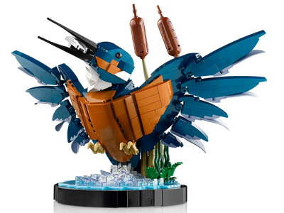 LEGO 10331 ICONS KINGFISHER BIRD - Toyworld Frankston