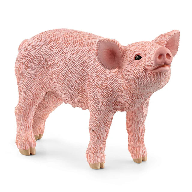 SCHLEICH - PIGLET - Toyworld Frankston