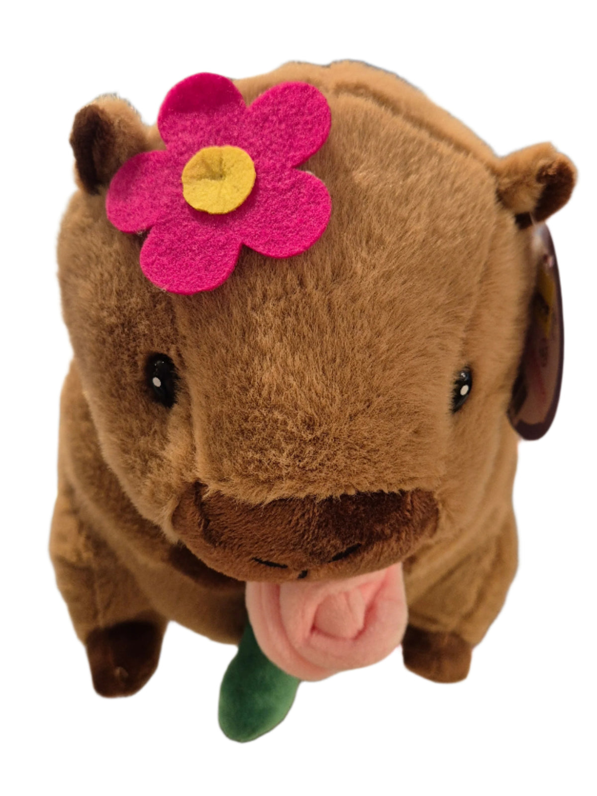 CAPYBARA 22CM PLUSH - PINK FLOWER - Toyworld Frankston