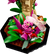 LEGO ICONS 21342 THE INSECT COLLECTION