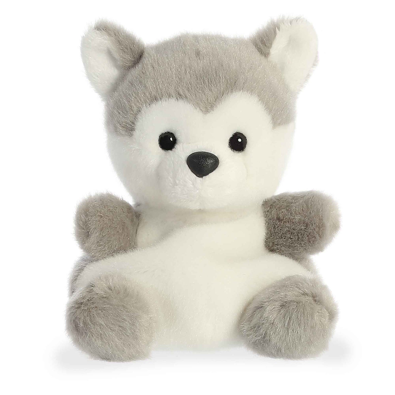 PALM PALS - BUSKY HUSKY 5" PLUSH - Toyworld Frankston