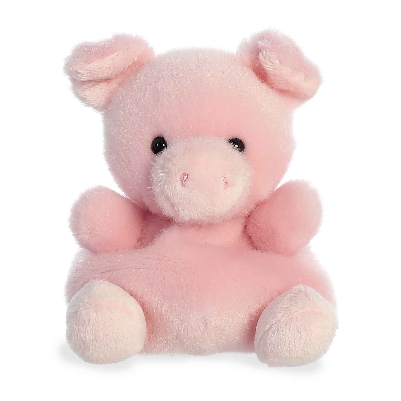 PALM PALS - WIZARD PIG 5" PLUSH - Toyworld Frankston
