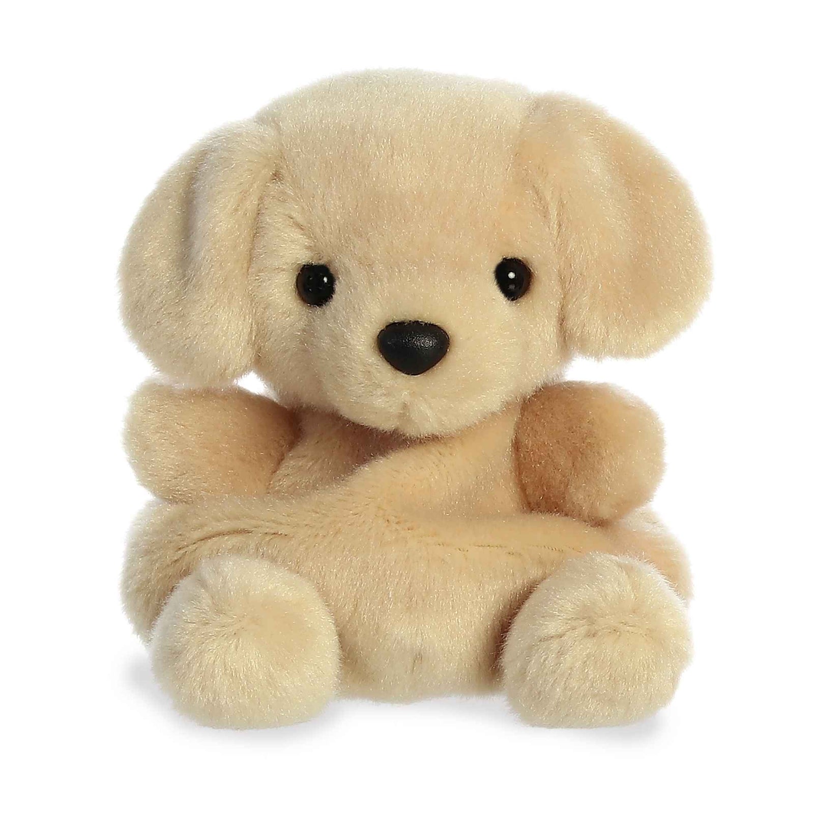 PALM PALS - SUNNY LAB 5" PLUSH - Toyworld Frankston