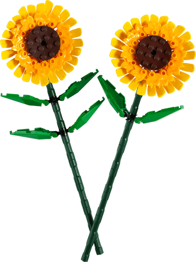 LEGO 40524 BOTANICALS - SUNFLOWERS - Toyworld Frankston