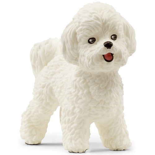 SCHLEICH - BICHON FRISE