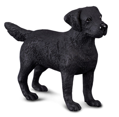 COLLECTA - LABRADOR RETRIEVER