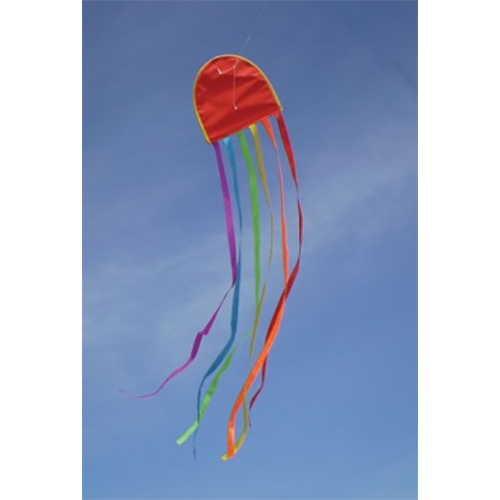 WIND SPEED JELLYFISH KITE