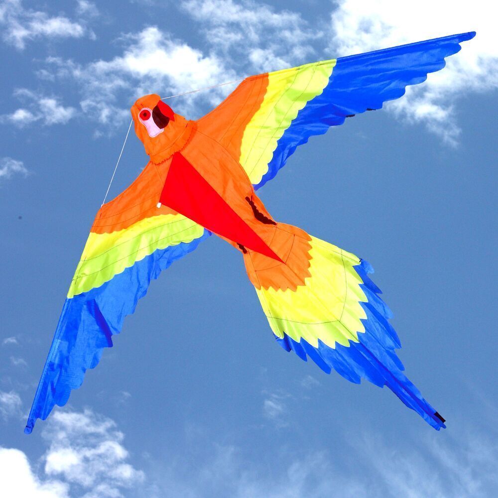 OCEAN BREEZE LORIKEET KITE - Toyworld Frankston