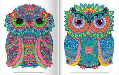 COLOURING COLLECTION - OWLS - Toyworld Frankston
