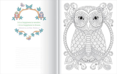 COLOURING COLLECTION - OWLS - Toyworld Frankston