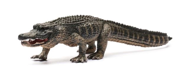 COLLECTA - AMERICAN ALLIGATOR (L) - Toyworld Frankston