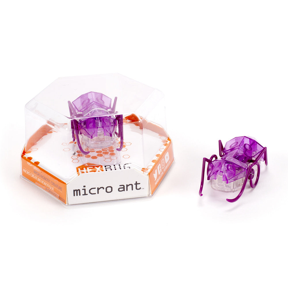 HEX BUG - MICRO ANTS - PURPLE - Toyworld Frankston