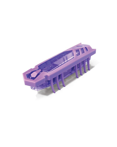 HEXBUG FLASH NANO SINGLE - PURPLE - Toyworld Frankston