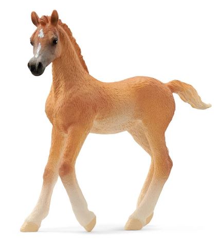 SCHLEICH - ARABIAN FOAL - Toyworld Frankston