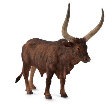 COLLECTA - ANKOLE-WATUSI BULL (L) - Toyworld Frankston