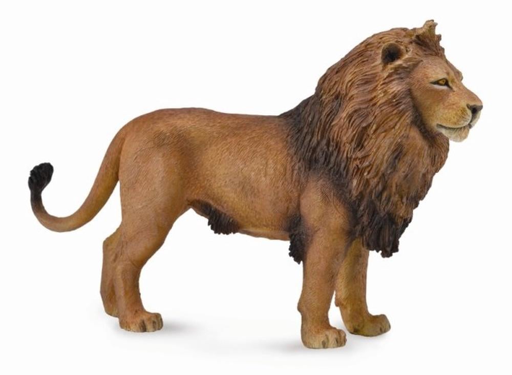 COLLECTA - AFRICAN LION - Toyworld Frankston