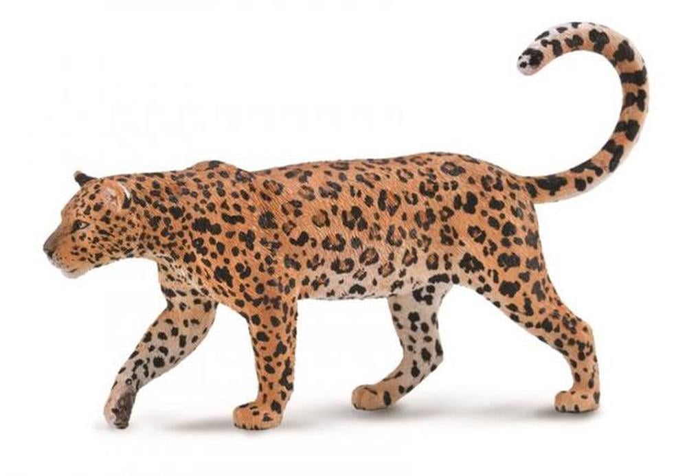 COLLECTA - AFRICAN LEOPARD - Toyworld Frankston