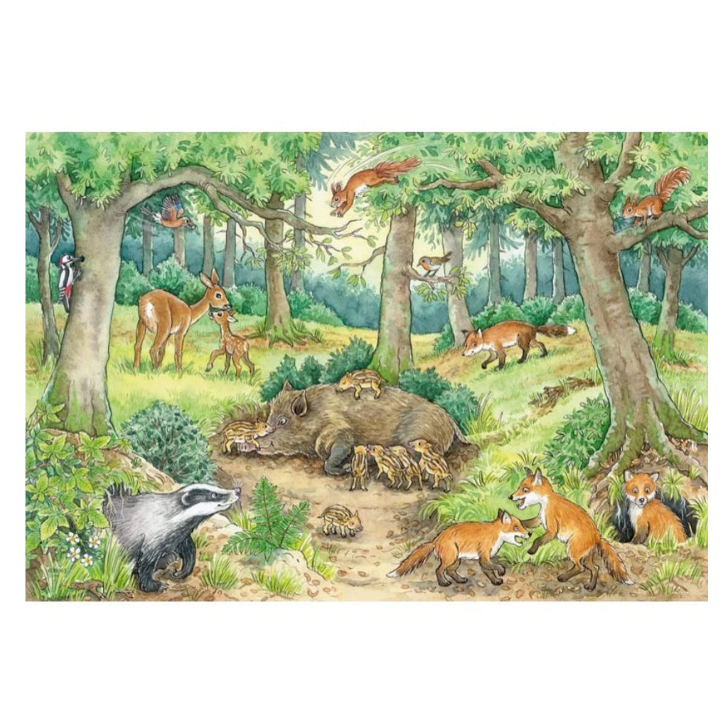 RAVENSBURGER - ANIMALS IN FOREST AND MEADOW 2 X 12 PIECE PUZZLE - Toyworld Frankston