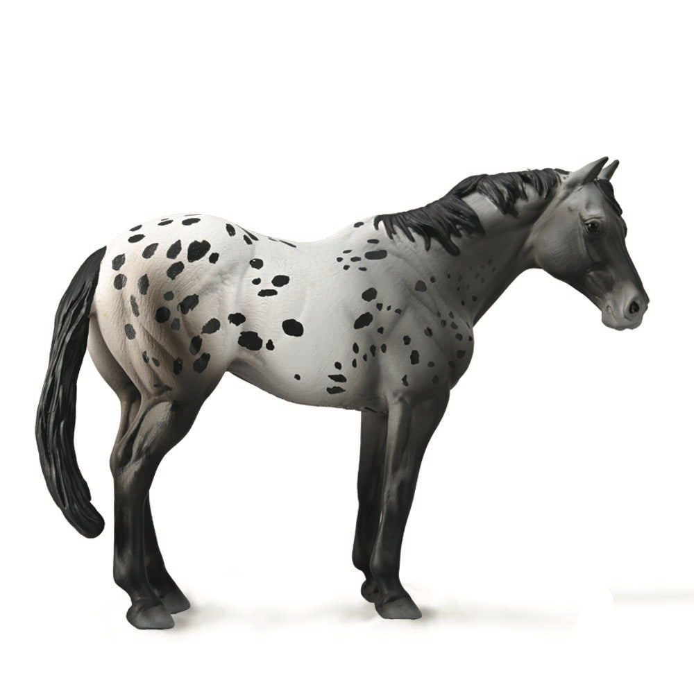 COLLECTA - APPALOOSA - BLUE ROAN - Toyworld Frankston