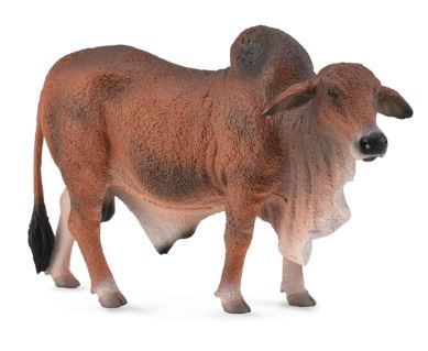 COLLECTA - BRAHMAN BULL RED (L) - Toyworld Frankston