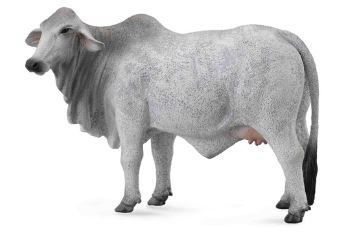 COLLECTA - BRAHMAN COW GREY (L) - Toyworld Frankston