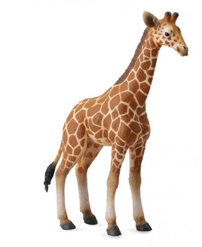 COLLECTA - RETICULATED GIRAFFE CALF (L) - Toyworld Frankston