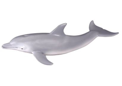 COLLECTA - BOTTLENOSE DOLPHIN (M) - Toyworld Frankston