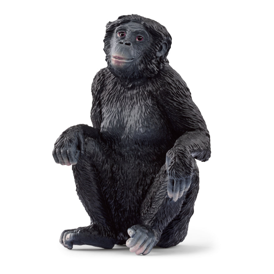 SCHLEICH - BONOBO FEMALE - Toyworld Frankston