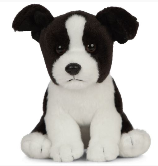 LIVING NATURE - BORDER COLLIE PUPPY SMALL PLUSH - Toyworld Frankston