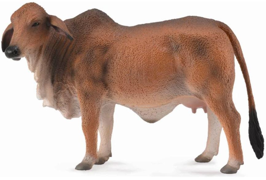 COLLECTA - BRAHMAN COW RED (L) - Toyworld Frankston