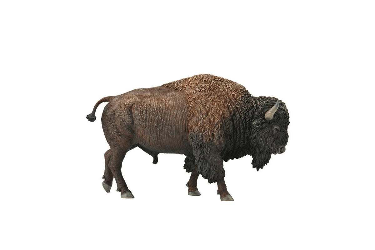 COLLECTA - AMERICAN BISON - Toyworld Frankston