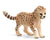 SCHLEICH - CHEETAH BABY