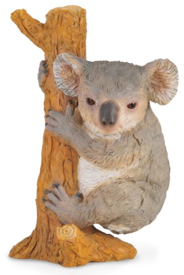 COLLECTA - KOALA CLIMBING (M) - Toyworld Frankston