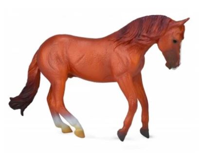 COLLECTA - AUSTRALIAN STOCK HORSE STALLION C-NUT (XL) - Toyworld Frankston