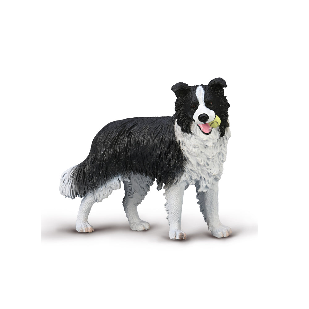 COLLECTA - BORDER COLLIE - Toyworld Frankston