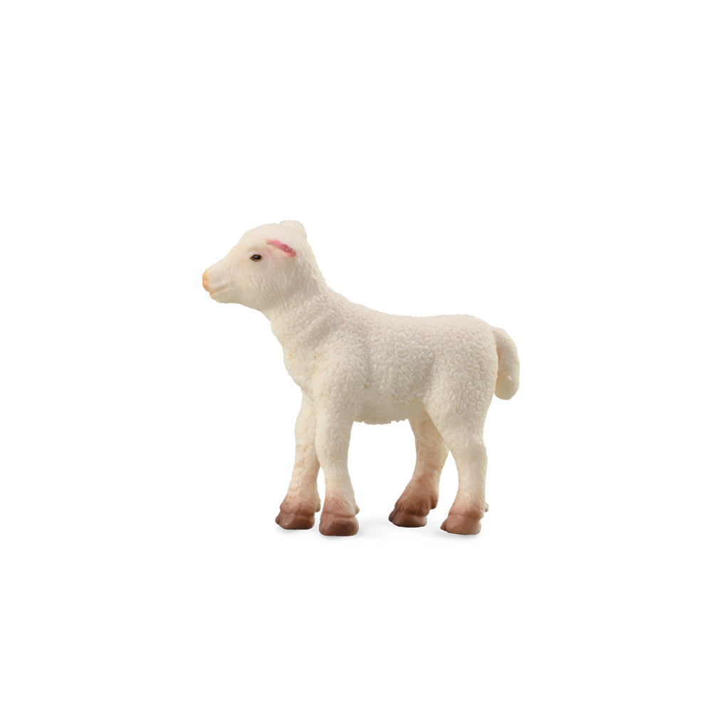 COLLECTA - LAMB STANDING (S) - Toyworld Frankston