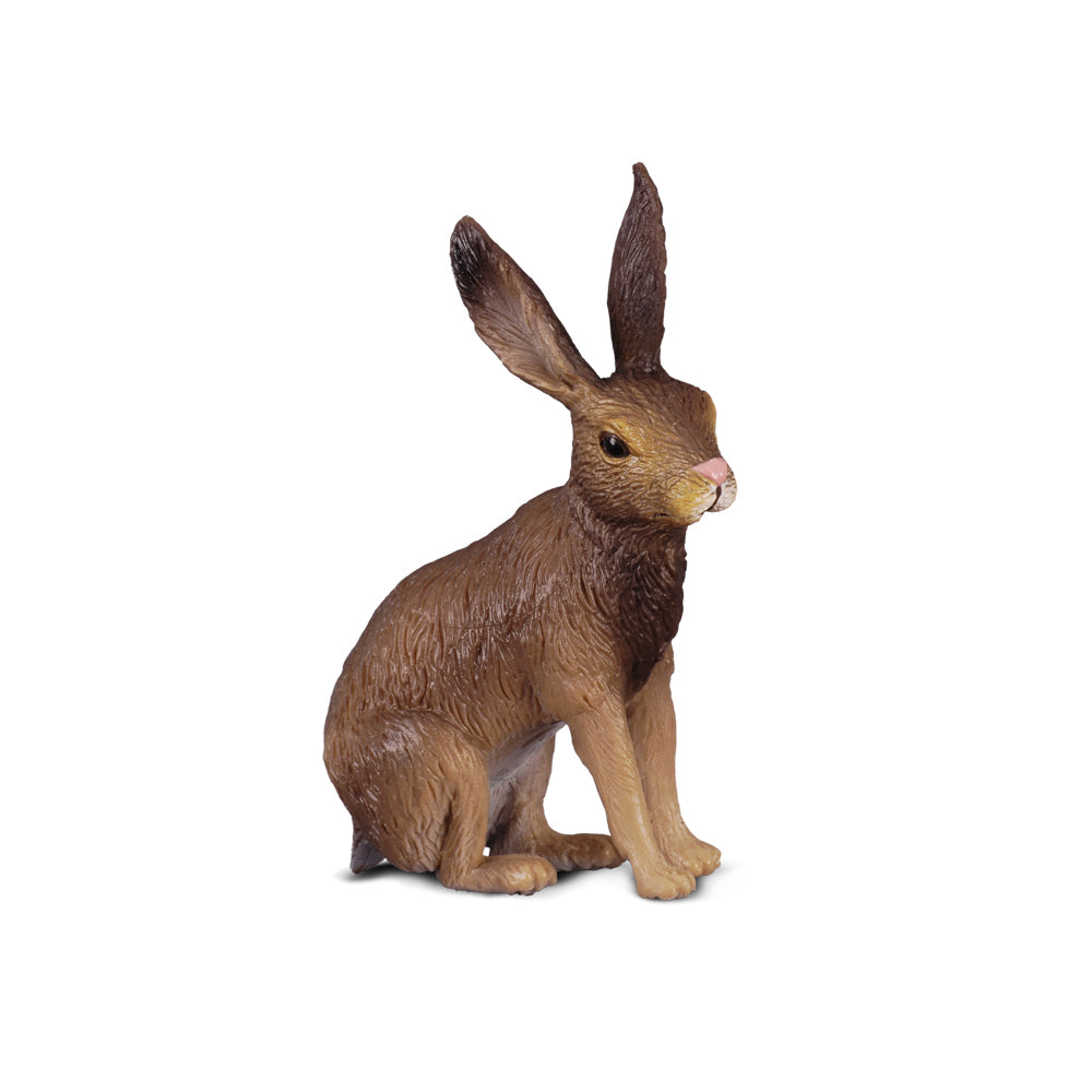 COLLECTA - BROWN HARE - Toyworld Frankston