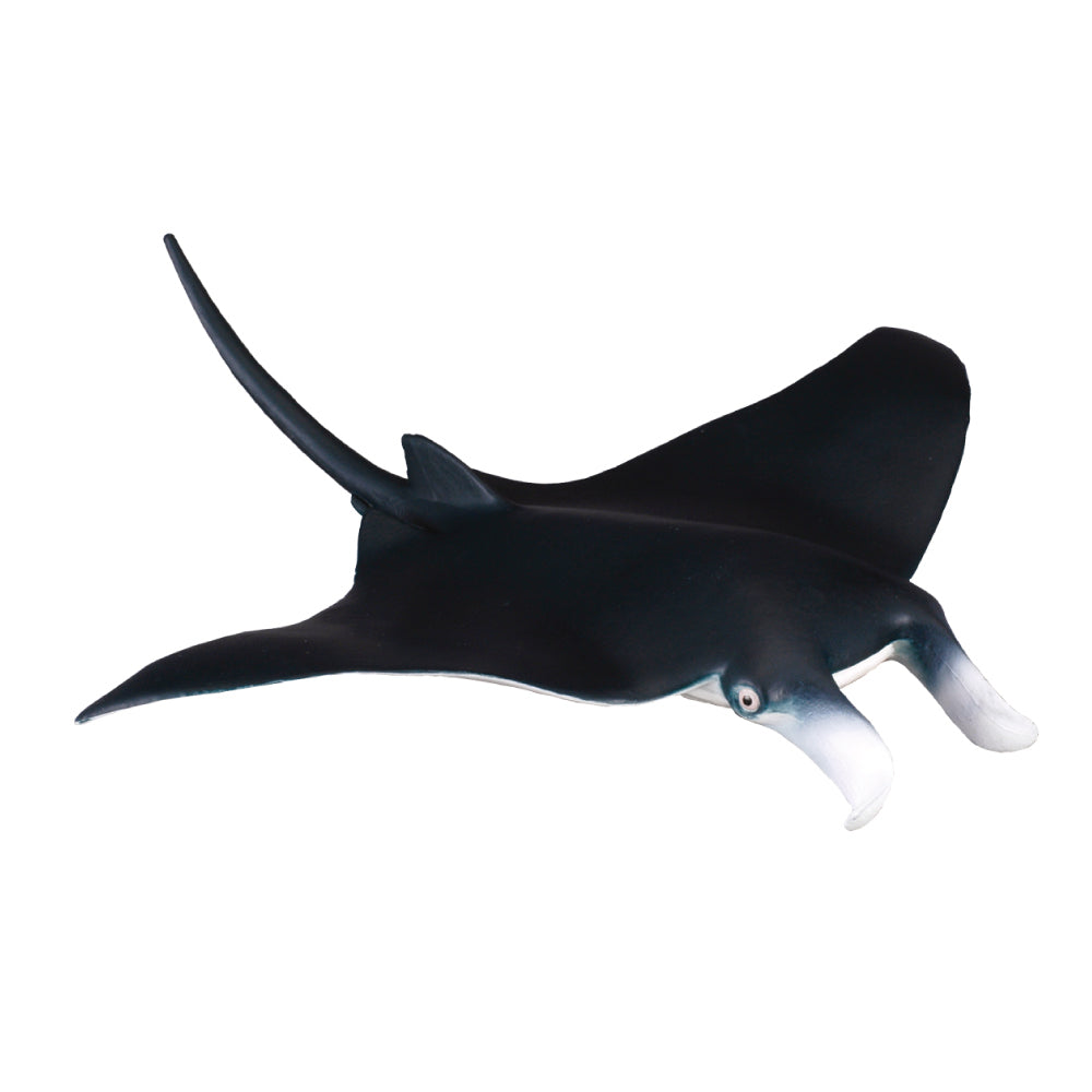 COLLECTA - MANTA RAY (M) - Toyworld Frankston
