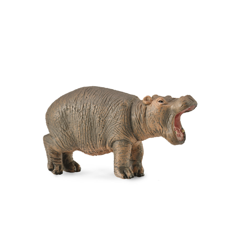 COLLECTA - HIPPOPOTAMUS CALF (S) - Toyworld Frankston