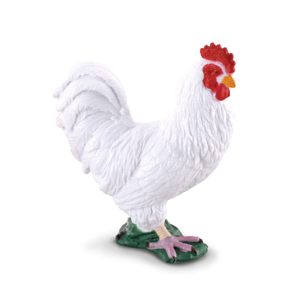 COLLECTA - COCKEREL WHITE (S) - Toyworld Frankston