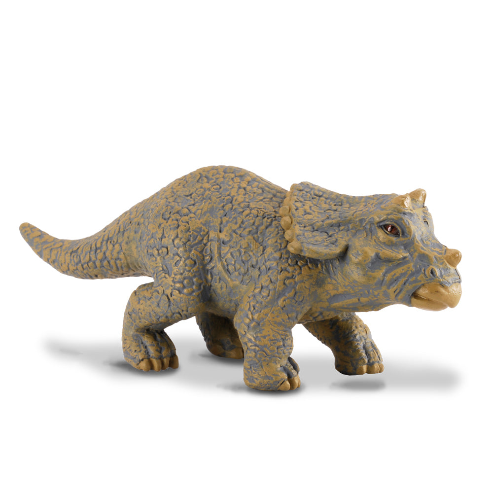 COLLECTA - TRICERATOPS BABY (S) - Toyworld Frankston