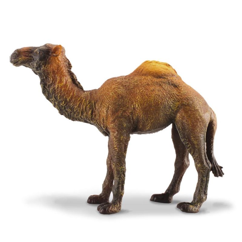 COLLECTA - DROMEDARY CAMEL