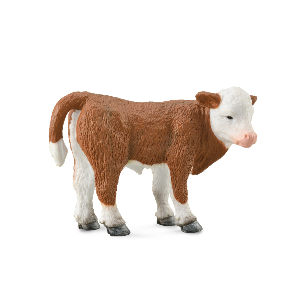 COLLECTA - HEREFORD CALF STANDING (S) - Toyworld Frankston