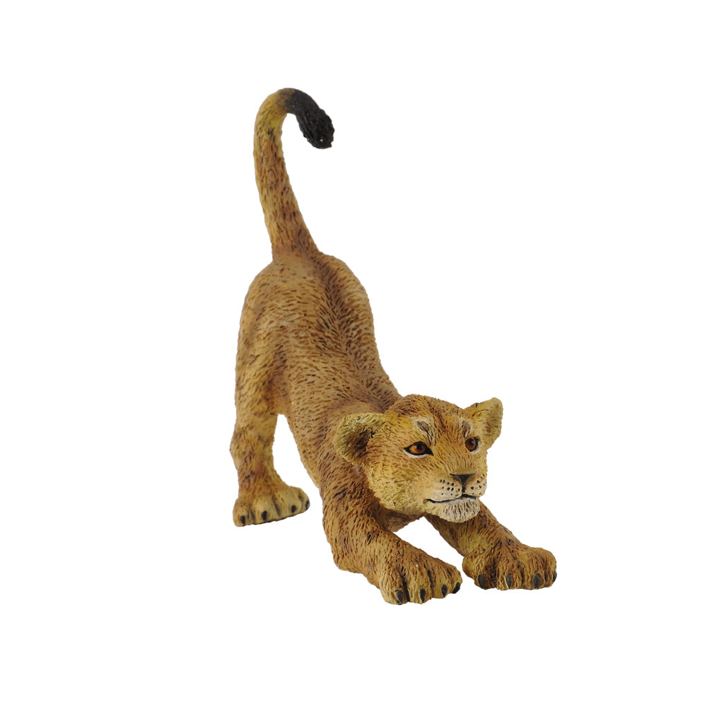 COLLECTA - LION CUB STRETCHING (S) - Toyworld Frankston