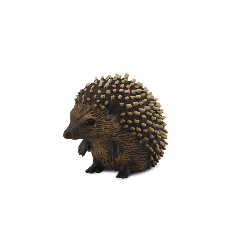 COLLECTA - HEDGEHOG (S) - Toyworld Frankston