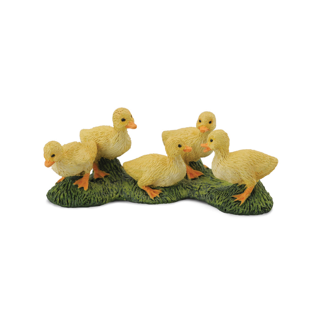 COLLECTA - DUCKLINGS (S) - Toyworld Frankston