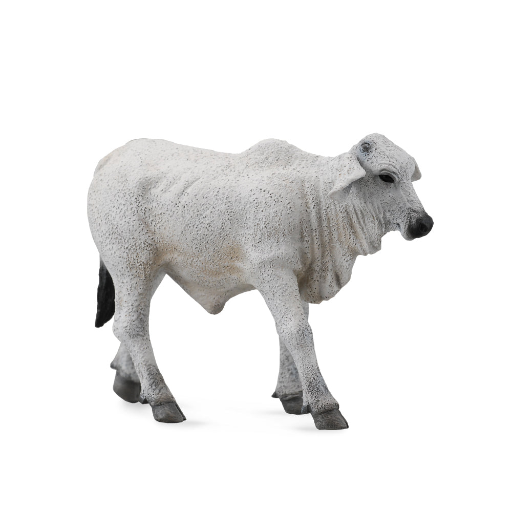 COLLECTA - BRAHMAN CALF GREY (S) - Toyworld Frankston