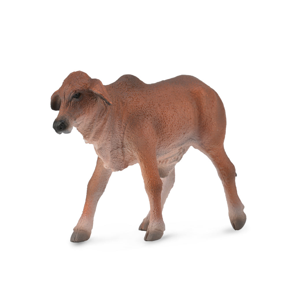 COLLECTA - BRAHMAN CALF RED (S) - Toyworld Frankston